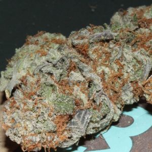 old-school-reeferman-genetics-ubc-chemo-strain-v2-feminized-web