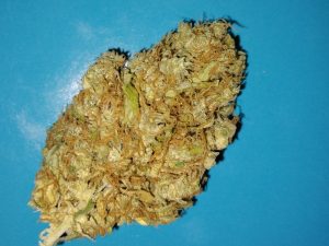 Old School BA Cali-Alaska-Diesel-Auto-Bud