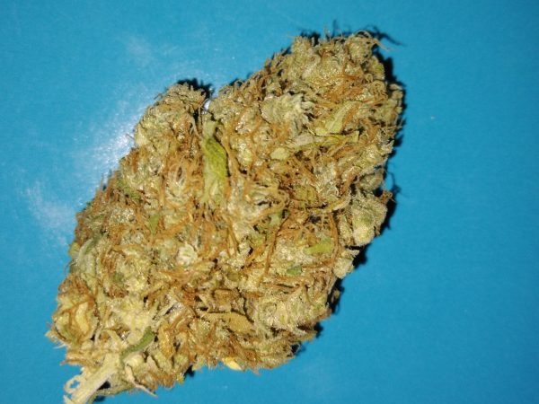 Old School BA Cali-Alaska-Diesel-Auto-Bud