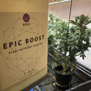 Cannabis hydroponic bloom boost