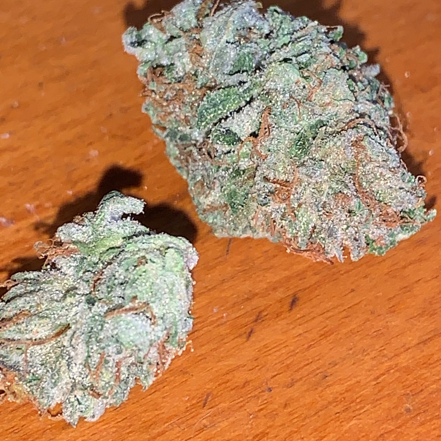 Old School BA drying-harvested-buds